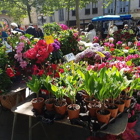 Town House, Rue Barbes Lägenhet Carcassonne