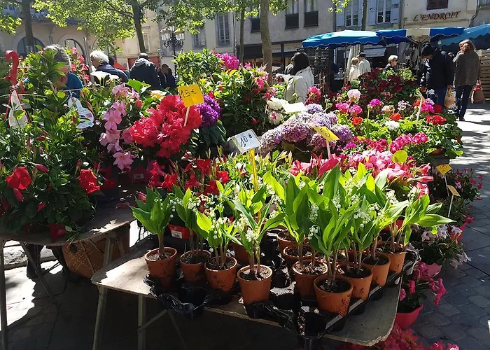 Town House, Rue Barbes Apartament Carcassonne